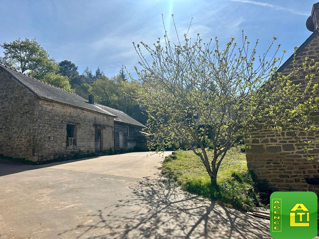 Maison BERNE (56240) AGENCE ALTI