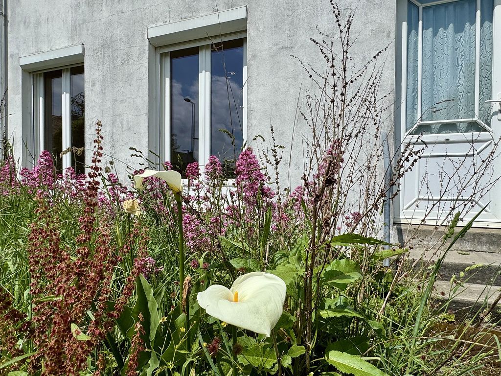 Maison CAUDAN (56850) AGENCE ALTI