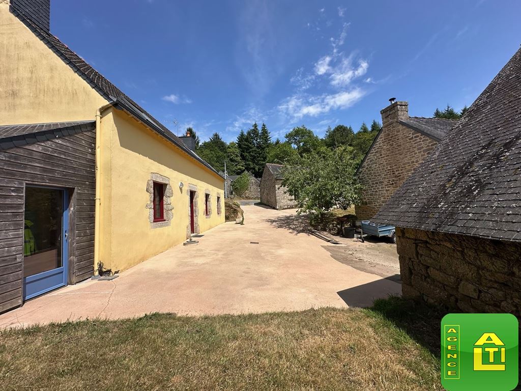 Maison BERNE (56240) AGENCE ALTI