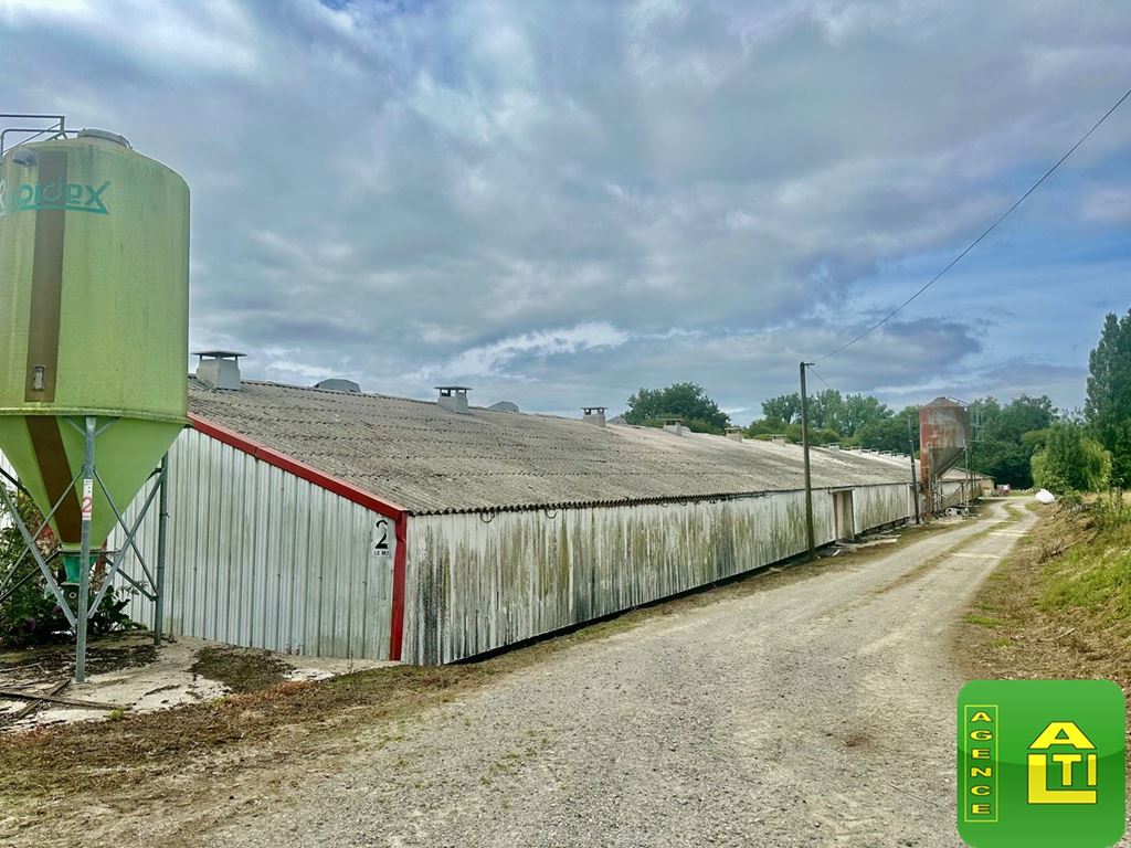 Terrain MESLAN (56320) AGENCE ALTI