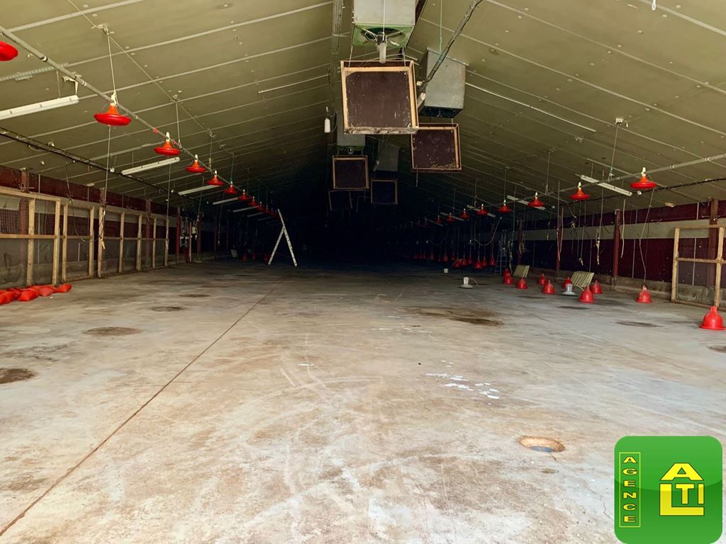 Terrain MESLAN (56320) AGENCE ALTI