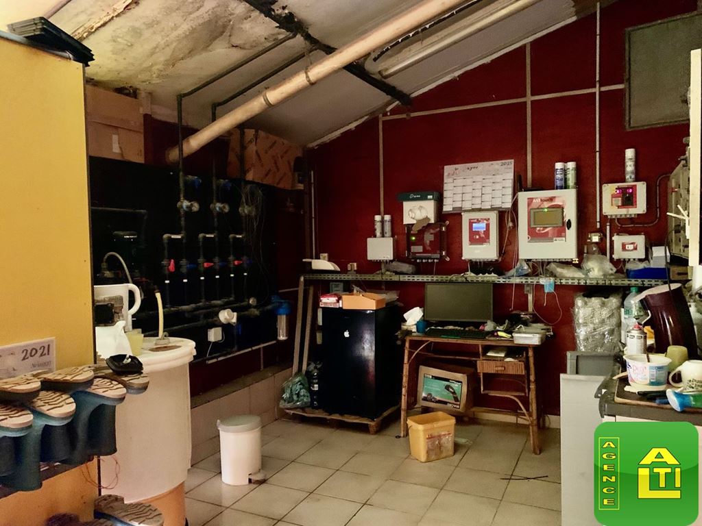 Terrain MESLAN (56320) AGENCE ALTI