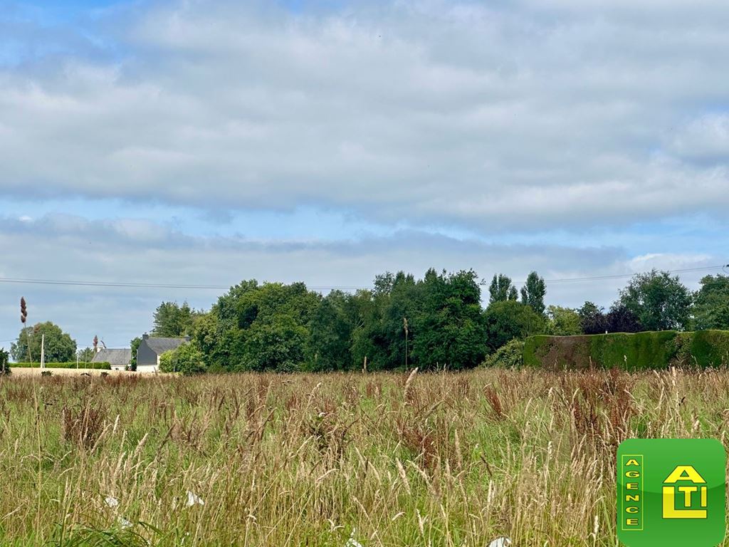 Terrain MESLAN (56320) AGENCE ALTI