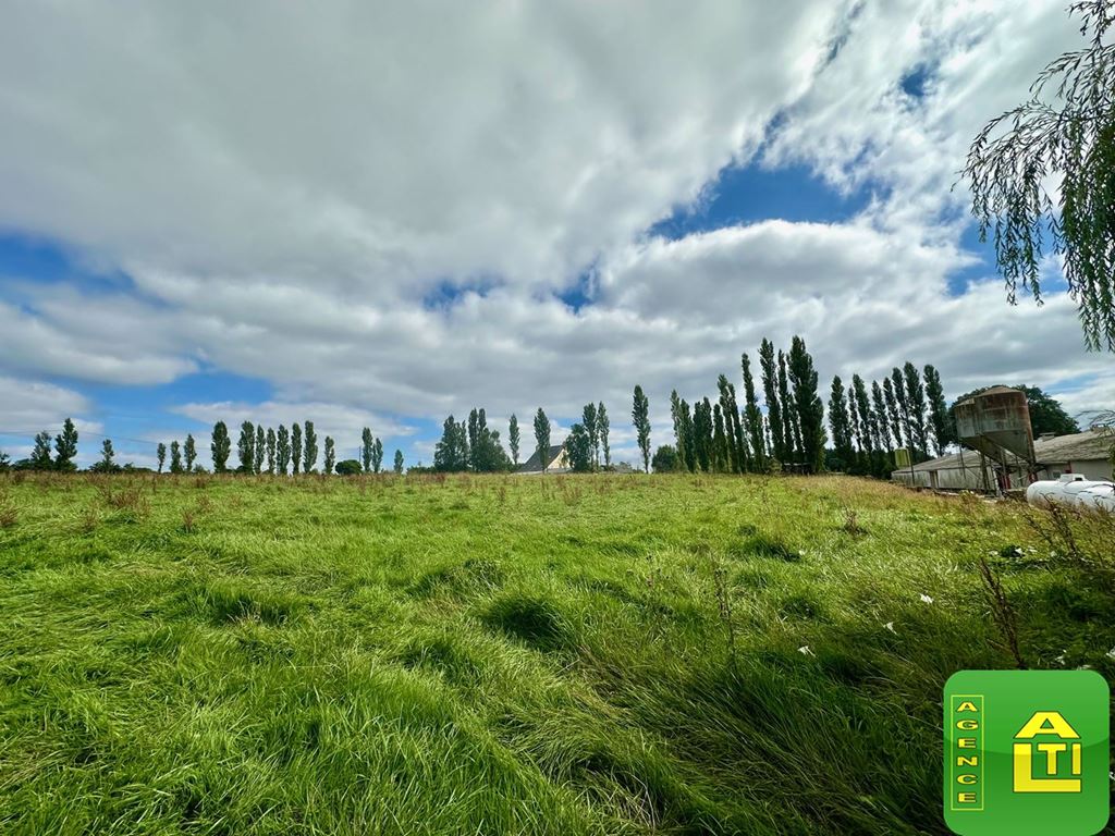 Terrain MESLAN (56320) AGENCE ALTI