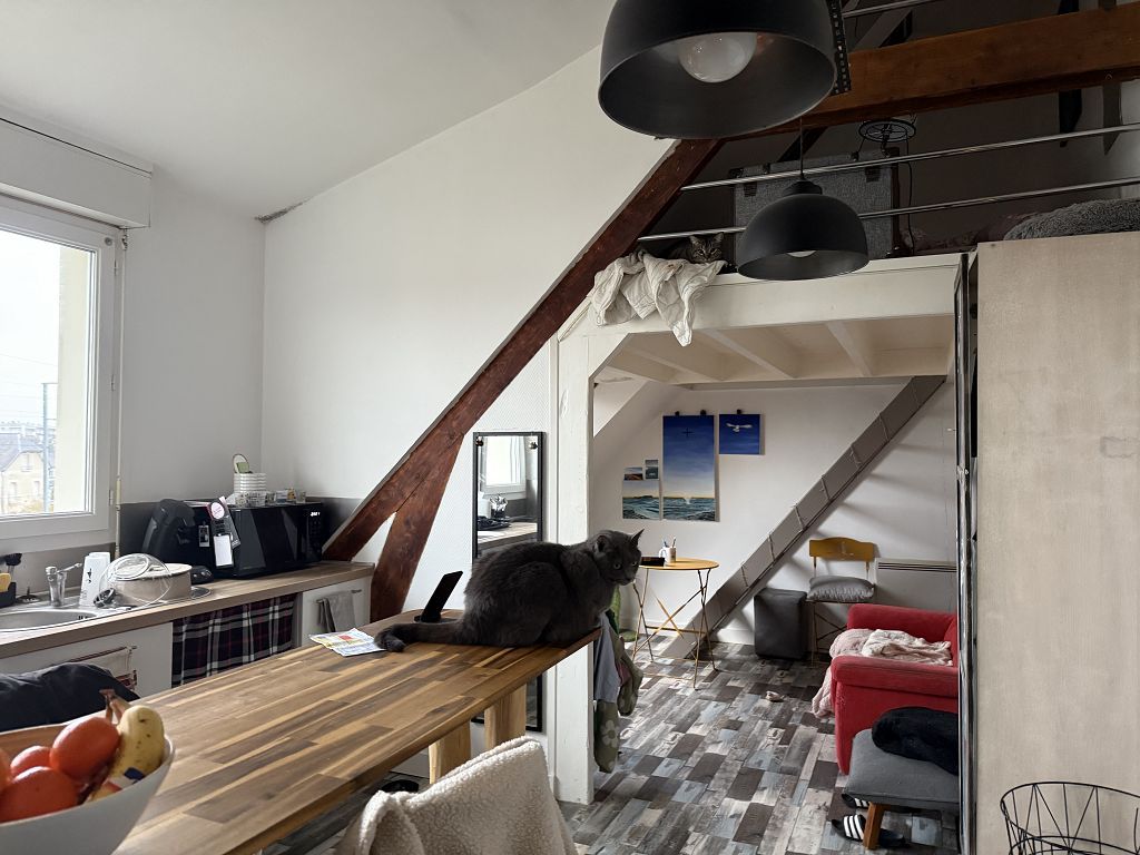 Appartement T1 bis LANESTER (56600) AGENCE ALTI