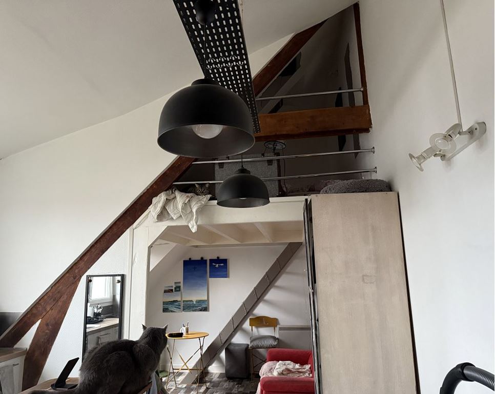 Appartement T1 bis LANESTER (56600) AGENCE ALTI